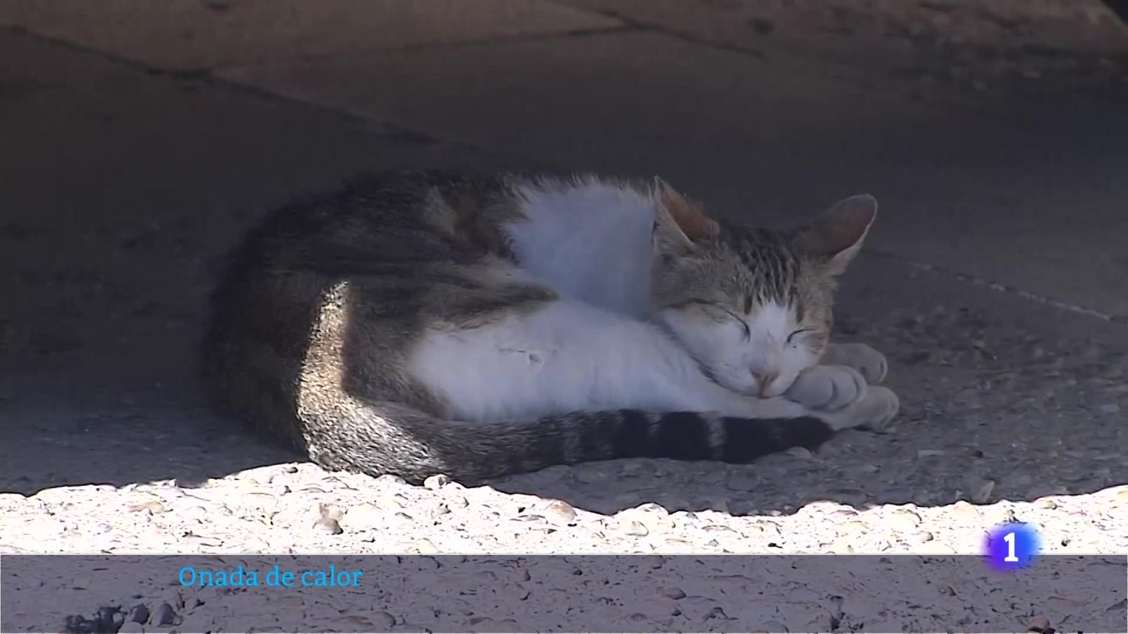 L'Informatiu Comunitat Valenciana 2 - 29/05/25 | Ver