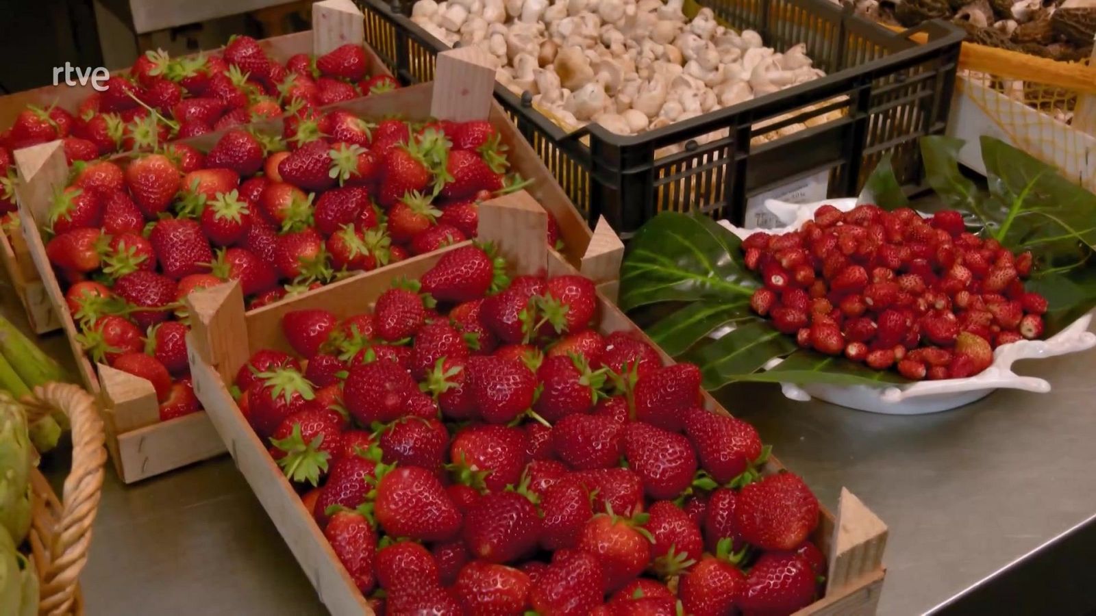 Aquí la Tierra - 29/05/25 - ver ahora