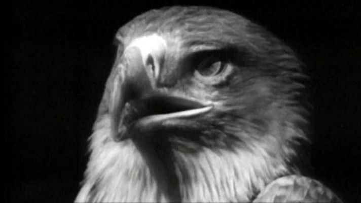 El planeta azul - La muerte de un emblema