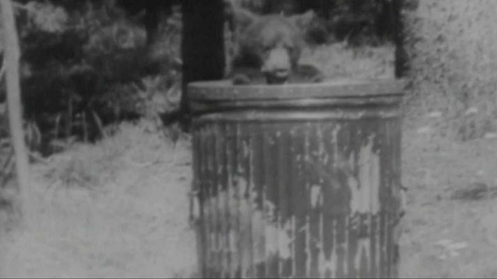 El planeta azul - El parque de Yellowstone