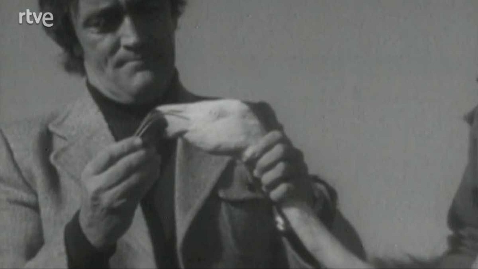 Planeta azul - Las aves flamígeras - El planeta azul | Ver