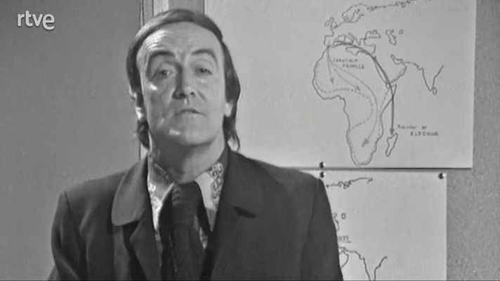 El planeta azul - La migración de las aves