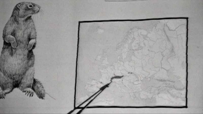 Planeta azul - La marmota - El planeta azul | Ver