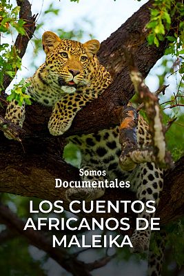 Somos Documentales - Los cuentos africanos de Maleika: Sobrevivir en el desierto del Kalahari