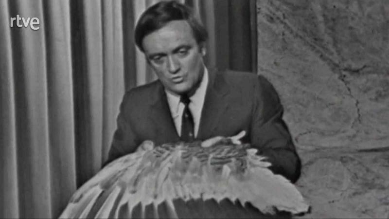 El planeta azul - El milagro del vuelo - El planeta azul | Ver