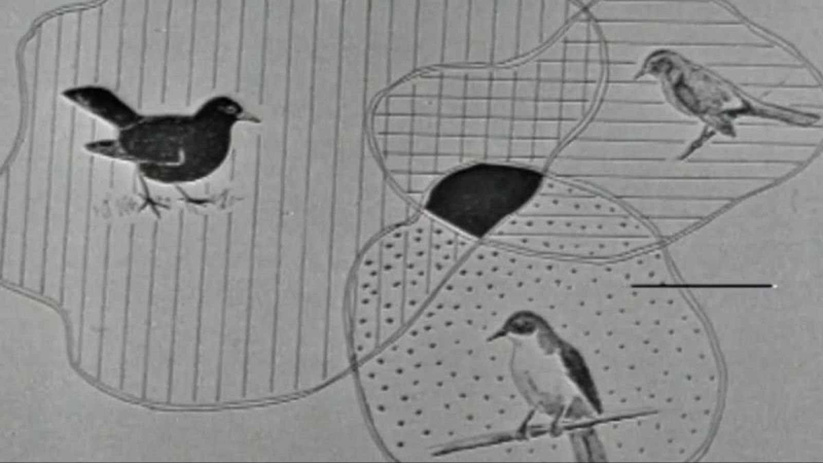 El planeta azul - Danzas de primavera - El planeta azul | Ver