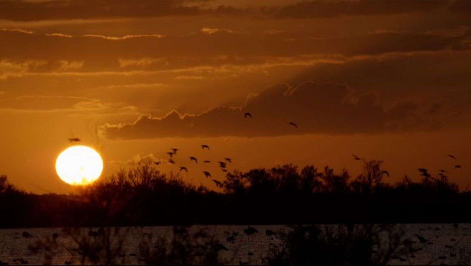 Días de Cine: Doñana | Ver