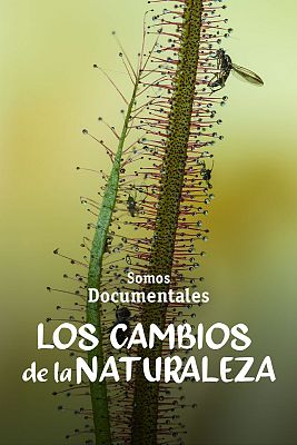 Los cambios de la naturaleza