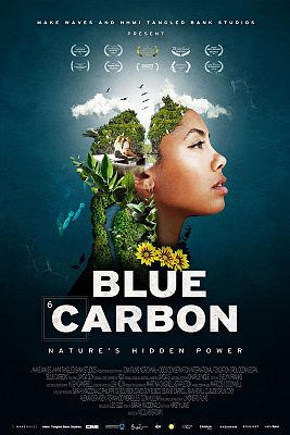 Carbono azul. El poder oculto de la naturaleza