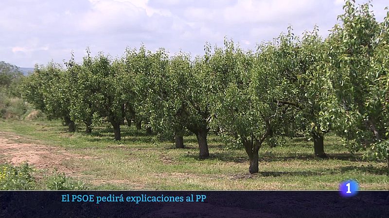 Telerioja en 2 - 03-06-2025 - Ver ahora | Ver