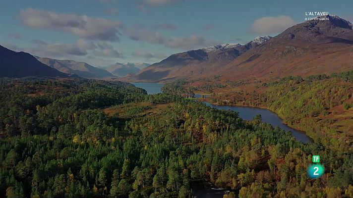 Som Documentals - Boscos de ribera