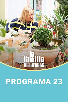 Programa 23