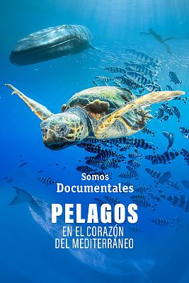 Pelagos, en el corazón del Mediterráneo