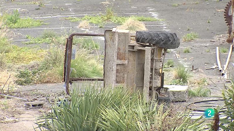 Telecanarias Tarde - 05/06/2025 | Ver