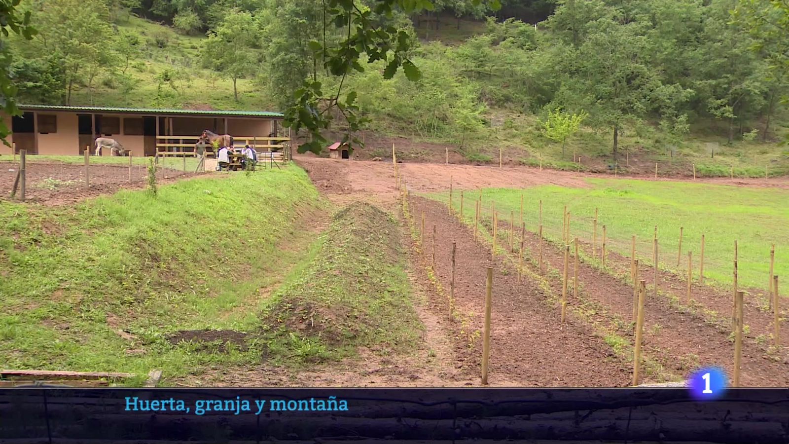 Informativo Telerioja 06-06-2025 Ver ahora | Ver