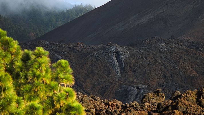 Telediario 1 - Los agricultores piden ampliar las ayudas cuatro años después de la erupción del volcán de La Palma