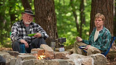 Un paseo por el bosque