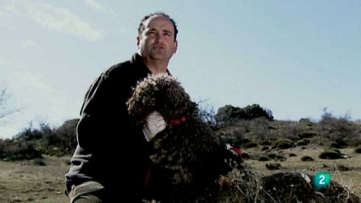 Biodiario - Biodiario - 13/01/13