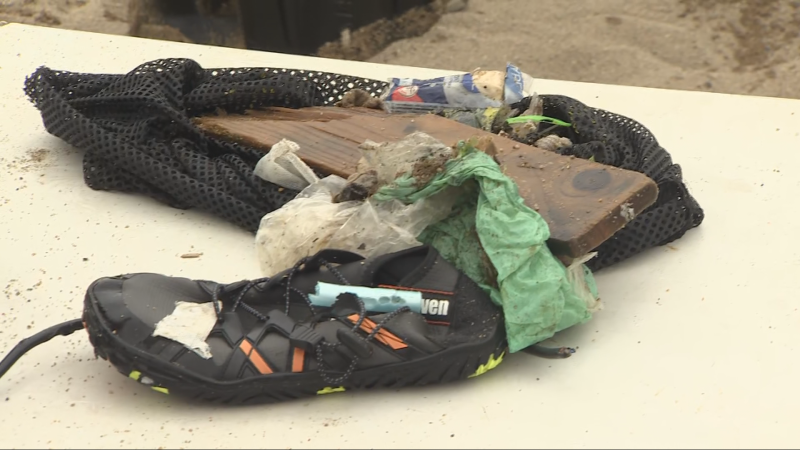 L'ecosistema marí no pot digerir tanta brutícia - L'Informatiu | Veure