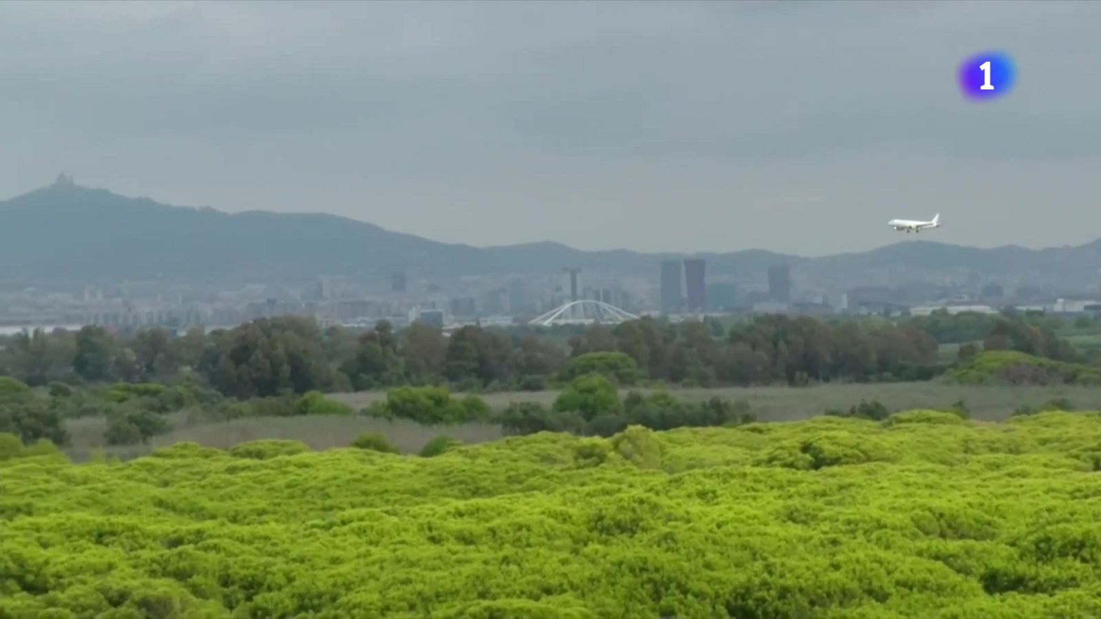 L'Informatiu - 10/06/2025