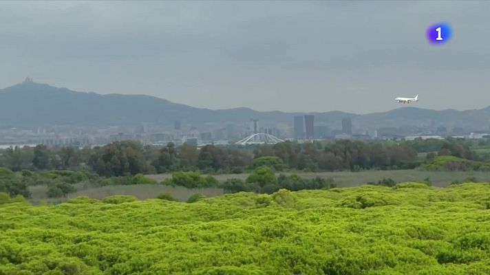 L'Informatiu - L'Informatiu - 10/06/2025