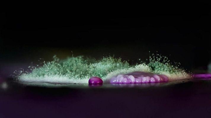 La aventura del Saber - Boek visual: Montse Bayés