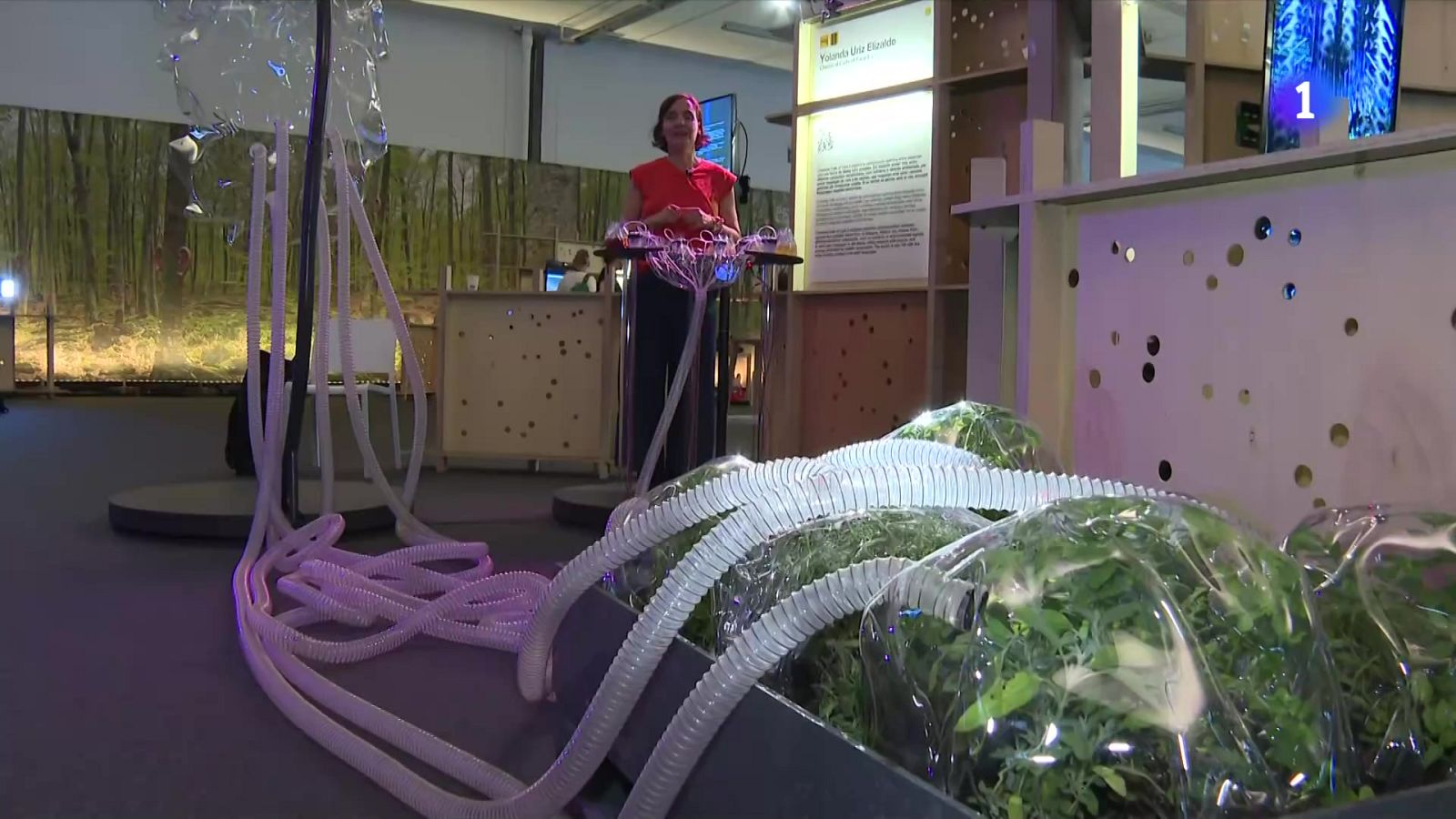 Sónar 2025: una edició marcada per la polémica amb Israel - L'Informatiu | Veure