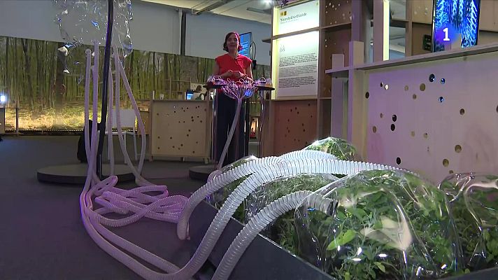 L'Informatiu - Sónar 2025: una edició marcada per la polémica amb Israel