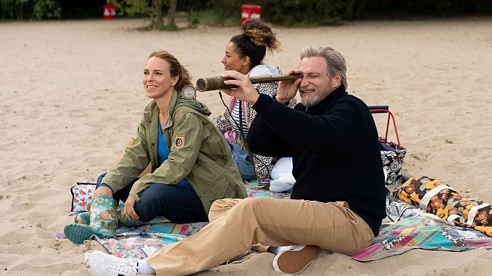 Cine internacional - Tu año perfecto