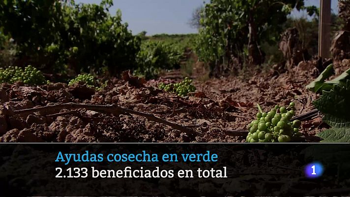 Informativo Telerioja - Telerioja en 2 - 13-06-2025 - Ver ahora