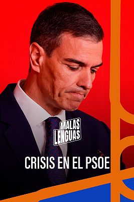 Malas lenguas - Programa 43