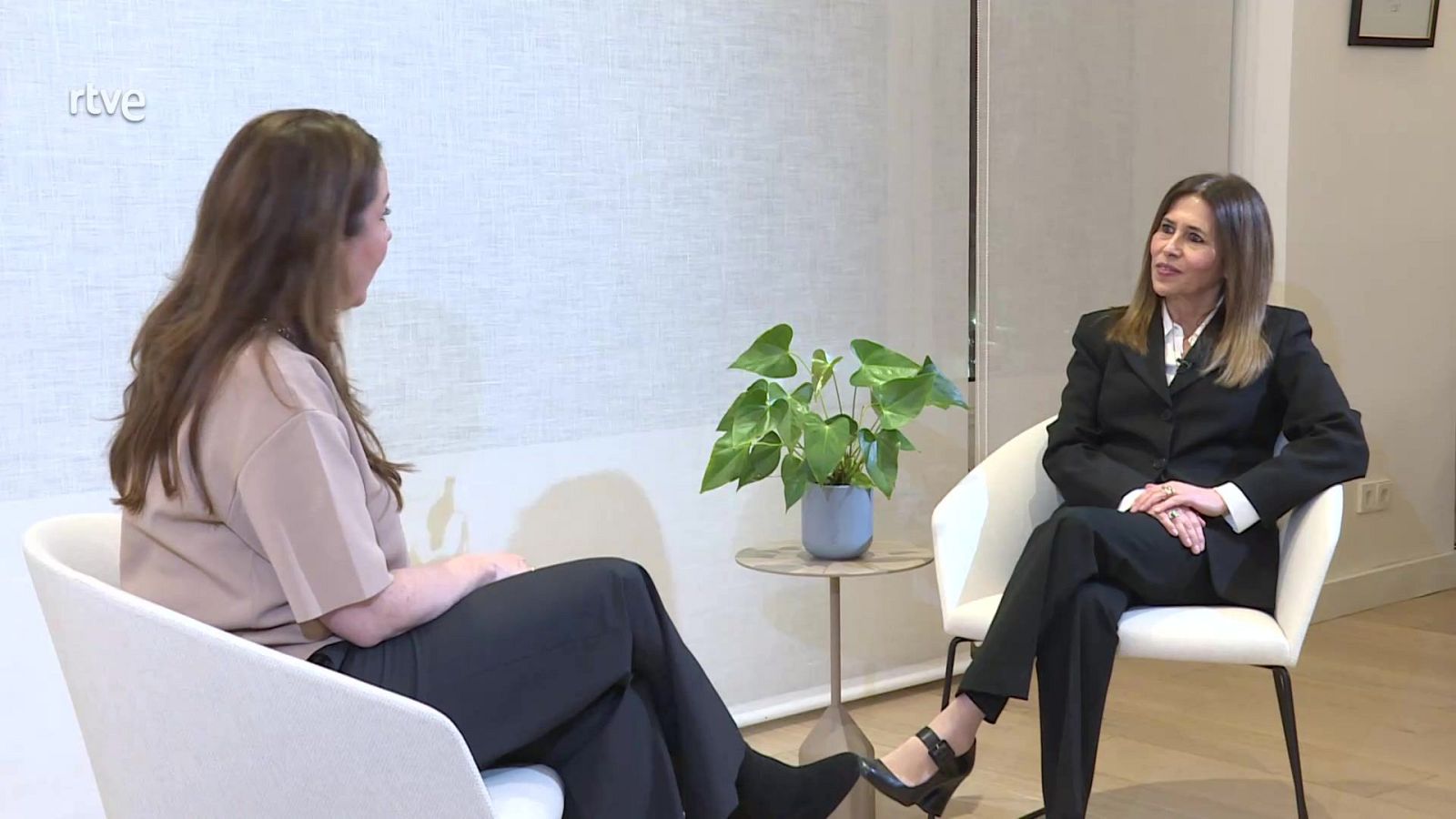 Shalom - Necesitamos respeto, inclusión y diversidad - Shalom | Ver