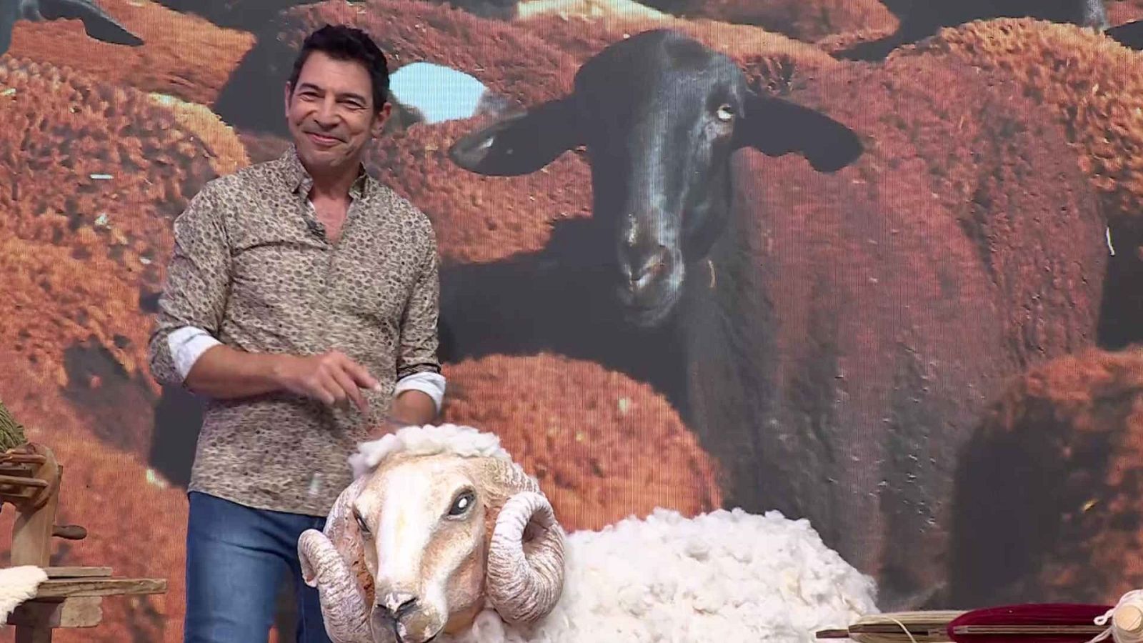 Aquí la Tierra - 15/06/25 - Aquí la Tierra | Ver