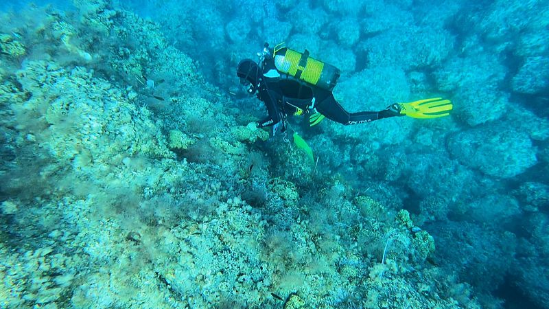 L'Informatiu Comunitat Valenciana 1 - 16/06/25 | Ver