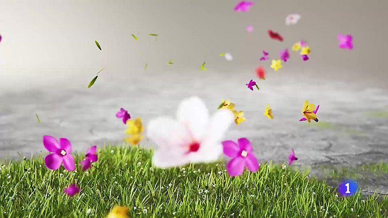 El tiempo en Galicia    16-06-2025 | Ver