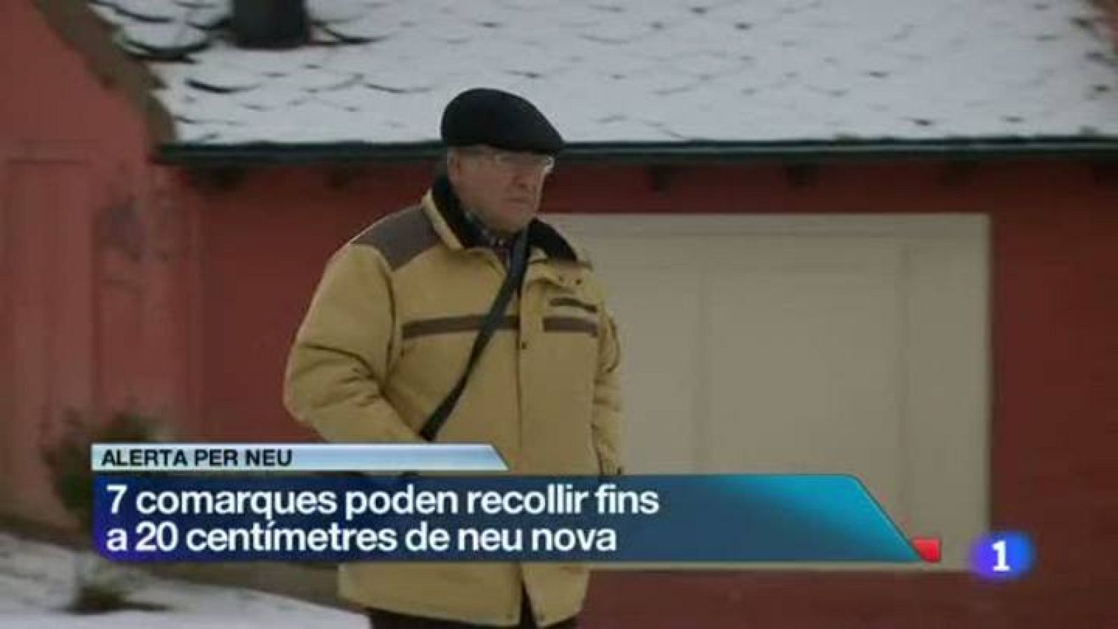 La neu arriba a 7 comarques del Pirineu Occidental on s'esperen gruixos importants