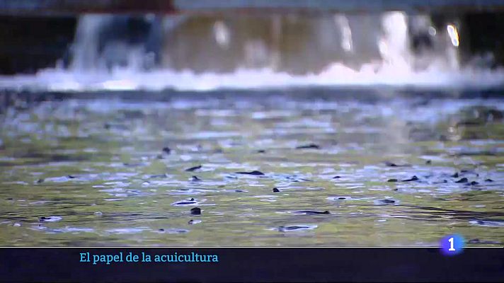 Informativo Telerioja - Telerioja en 2 - 17-06-2025