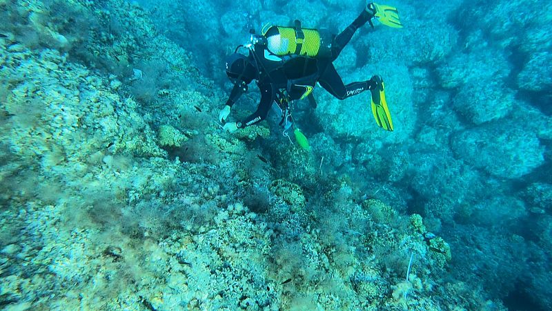 Un equip del CSIC detecta concentracions rècord de microplàstics a les illes Columbretes | Ver