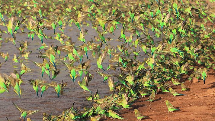 Lugares que visitar antes de morir - Australia