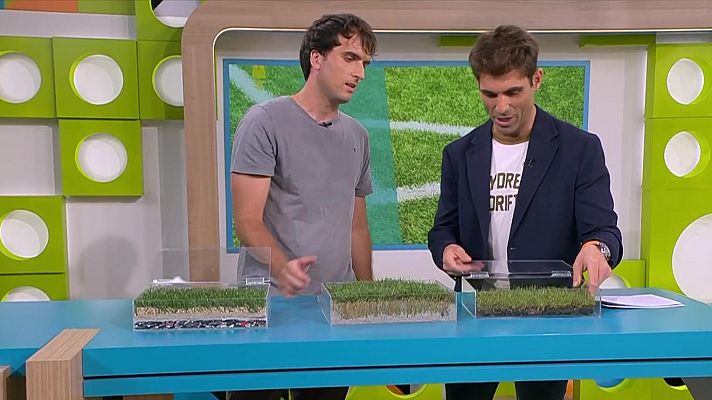 L'altaveu - Les diferents gespes dels camps de futbol