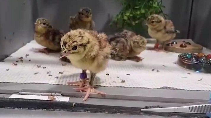 Aquí la Tierra - Aquí la Tierra - 18/06/25