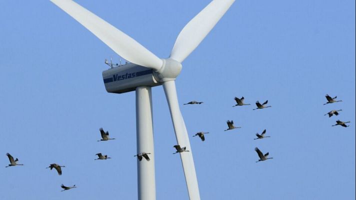 Para todos La 2 - Reportaje para la convivencia entre aves y parques eólicos