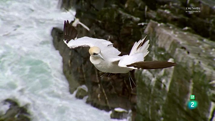 Som Documentals - Llocs per visitar abans de morir. Ep 3: Europa