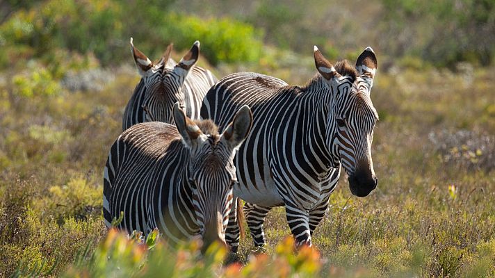 Lugares que visitar antes de morir - África
