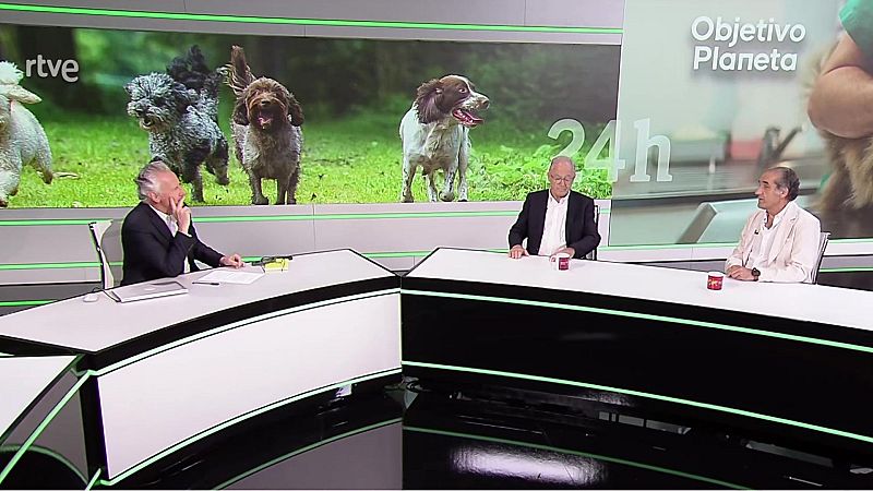 Objetivo Planeta - De qu se quejan los veterinarios? - Objetivo Planeta | Ver
