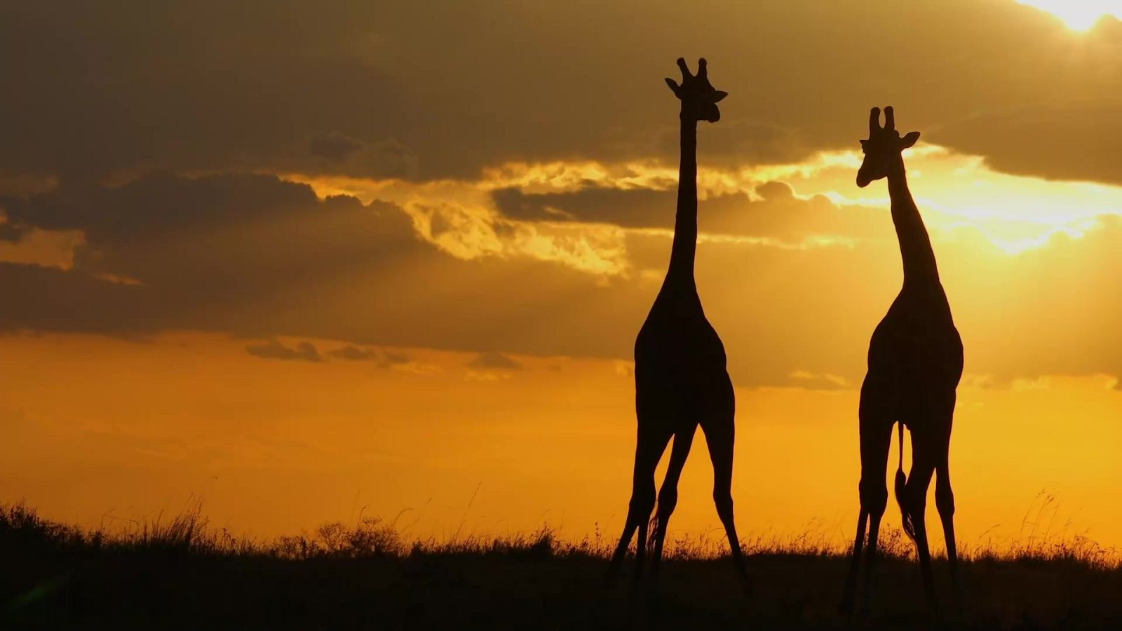 Grans Documentals - Llocs per visitar abans de morir. Ep 4: L'Àfrica - Veure Ara