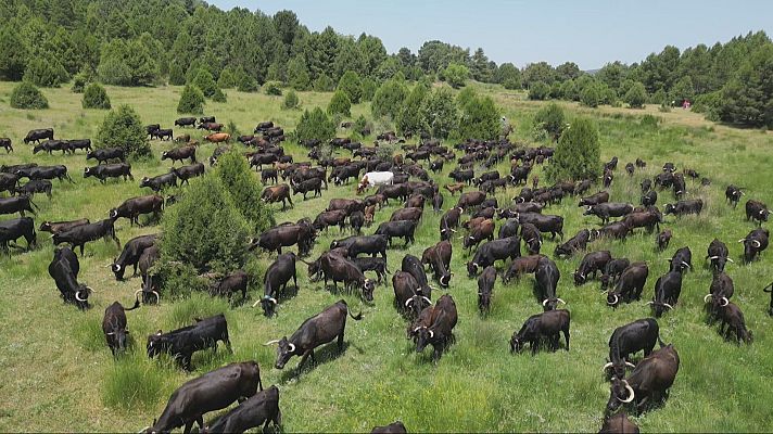 Agrosfera - Agrosfera - 21/06/25