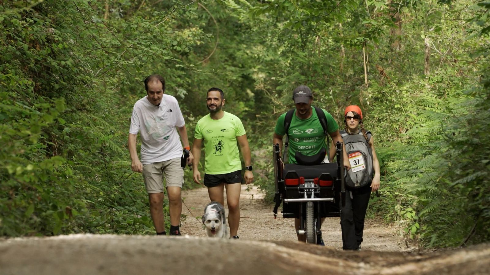 Somos documentales - EL Aleteo de las mariposas - Somos Documentales | Ver documental