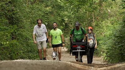 EL Aleteo de las mariposas