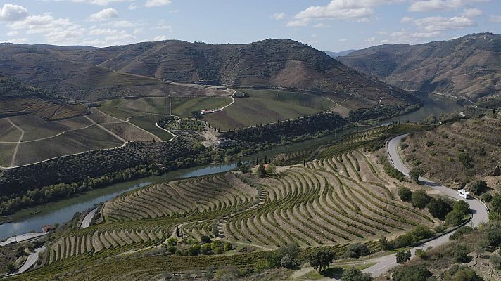 Senderos con Juan y Migas - Para problemas, ¡soluciones!